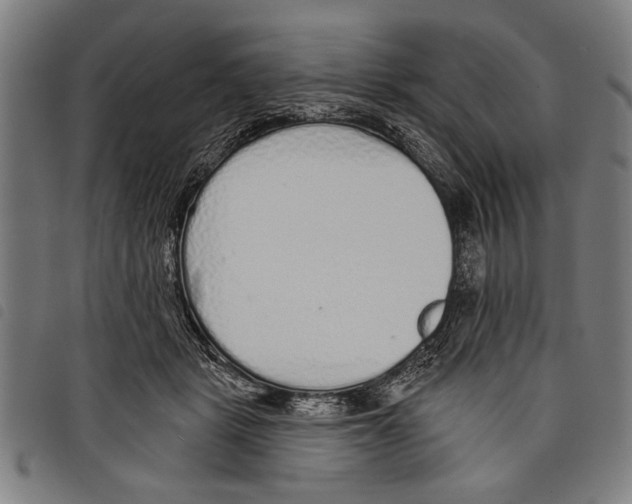 X0000097770461200804041156