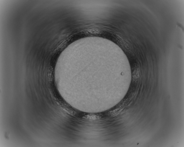 X0000097770464200804041156