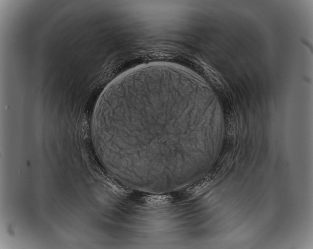X0000097770465200804041156