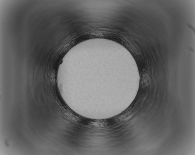 X0000097770466200804041156