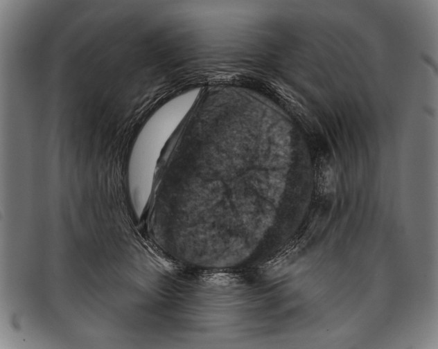 X0000097770467200804041156