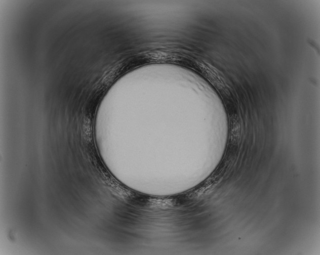 X0000097770469200804041156