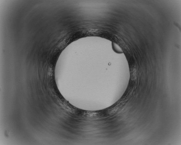 X0000097770472200804041156
