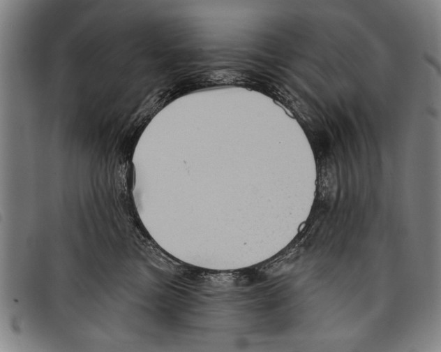X0000097770473200804041156