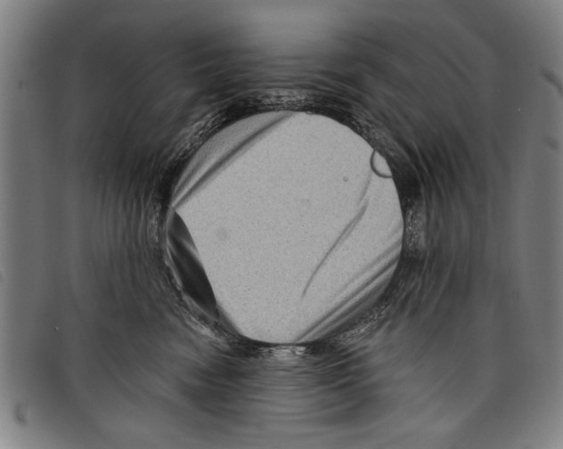 X0000097770474200804041156