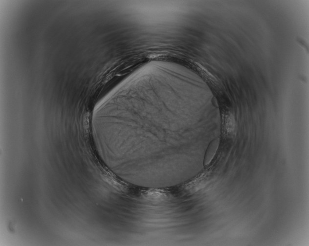 X0000097770475200804041156