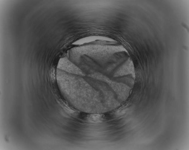 X0000097770479200804041156