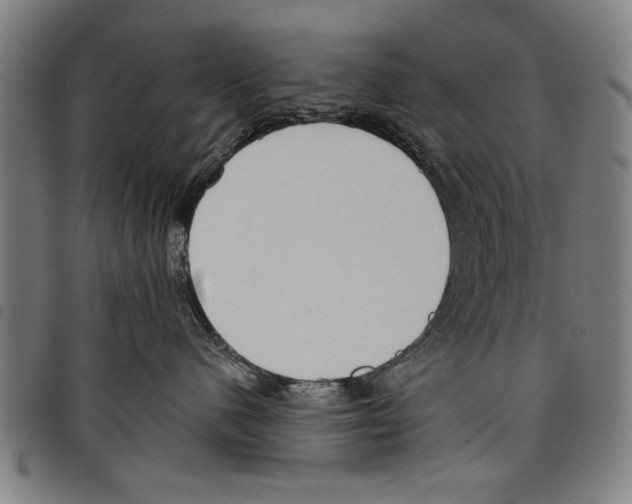 X0000097770480200804041156