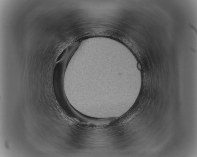 X0000097770481200804041155