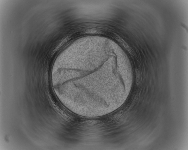 X0000097770482200804041155