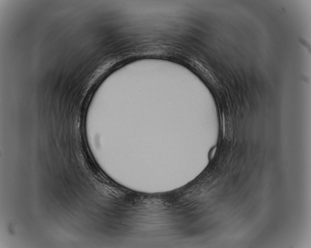 X0000097770483200804041155