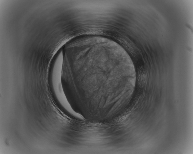 X0000097770484200804041155