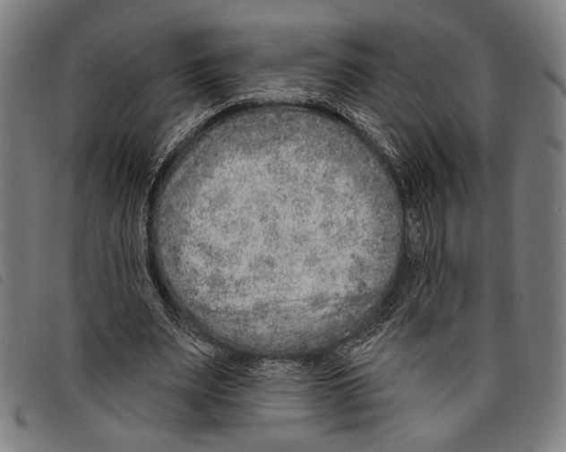 X0000097770487200804041155