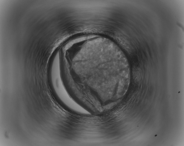 X0000097770488200804041155