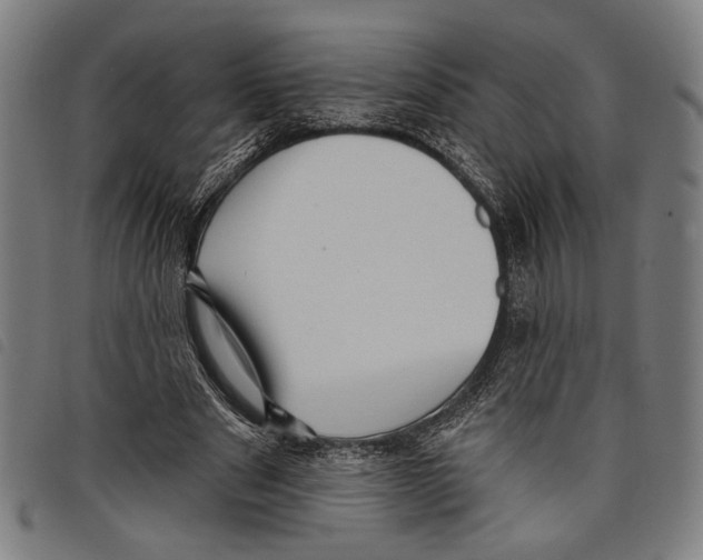 X0000097770489200804041155