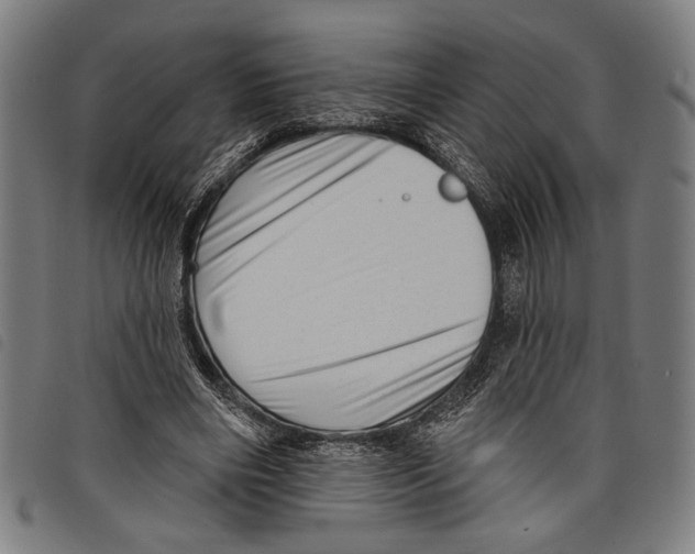 X0000097770490200804041155