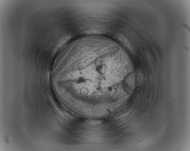 X0000097770491200804041155