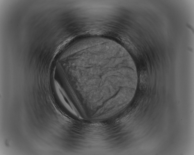 X0000097770492200804041155