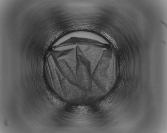 X0000097770493200804041155