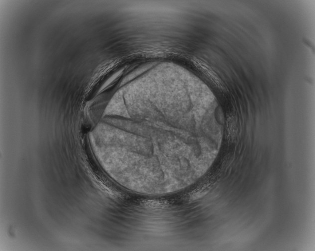 X0000097770494200804041155