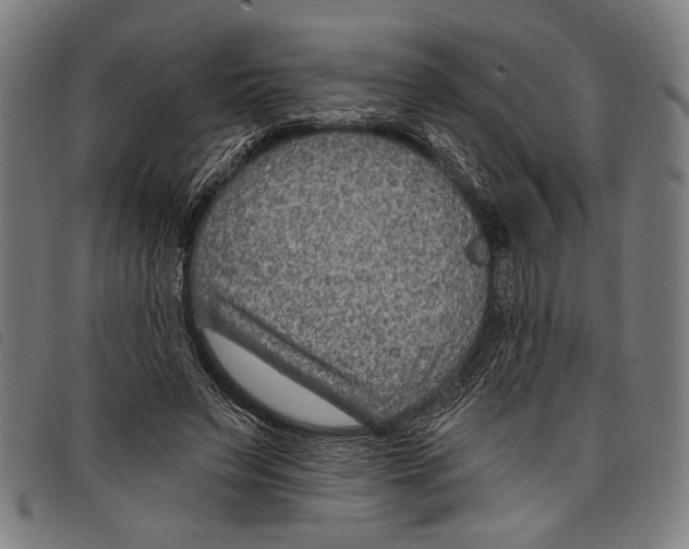X0000097770495200804041155