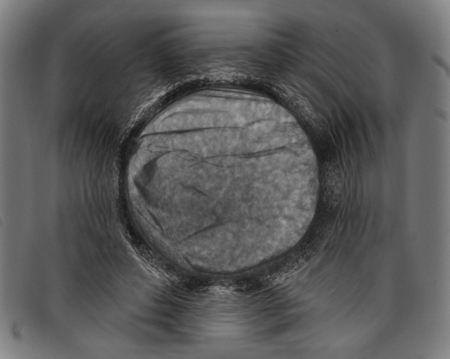 X0000097770496200804041155
