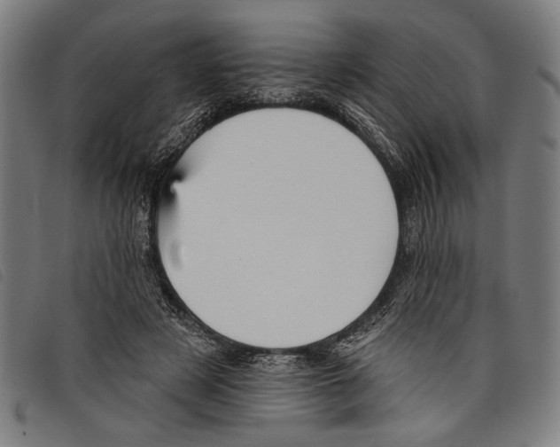 X0000097770497200804041155