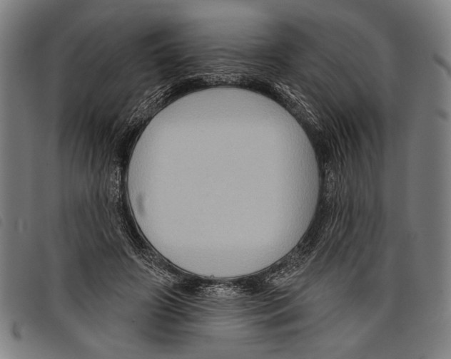 X0000097770498200804041155