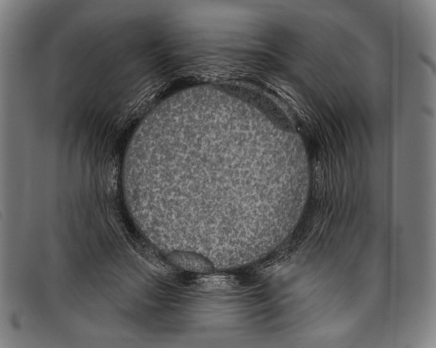 X0000097770499200804041155