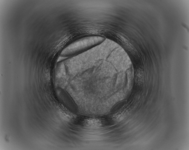 X0000097770500200804041155