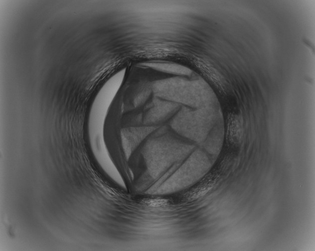 X0000097770501200804041155