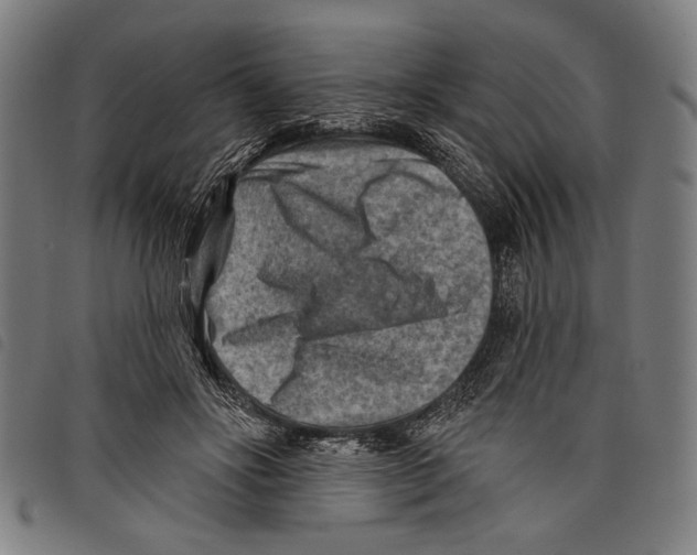 X0000097770502200804041155