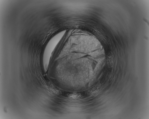 X0000097770504200804041155