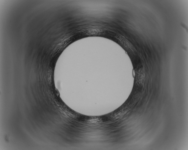 X0000097770505200804041155