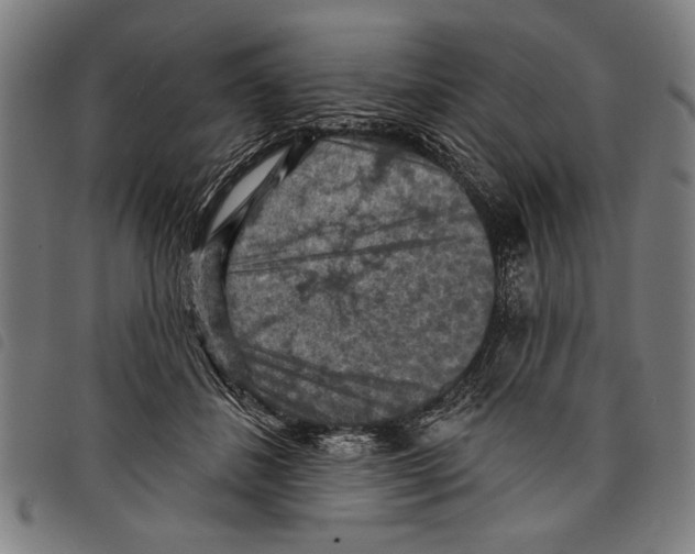 X0000097770508200804041155