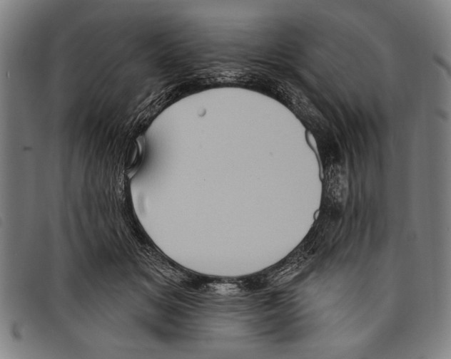 X0000097770509200804041155