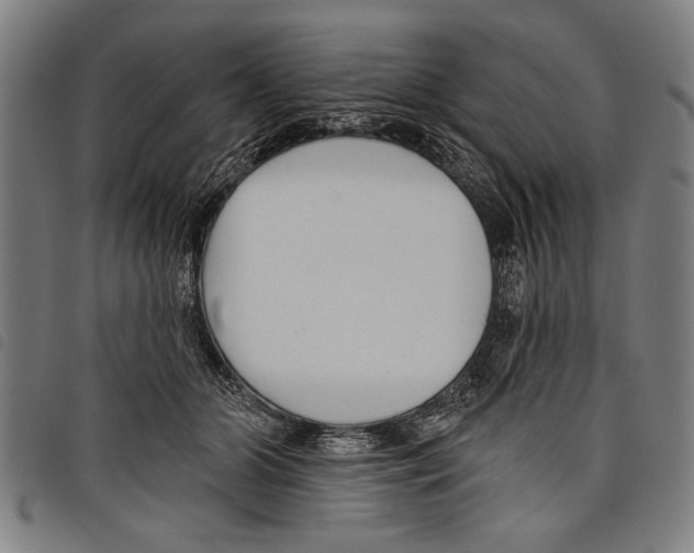 X0000097770510200804041155