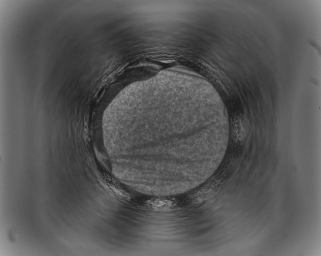 X0000097770512200804041155