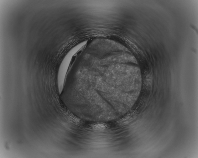 X0000097770513200804041155
