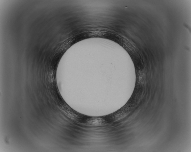 X0000097770514200804041155