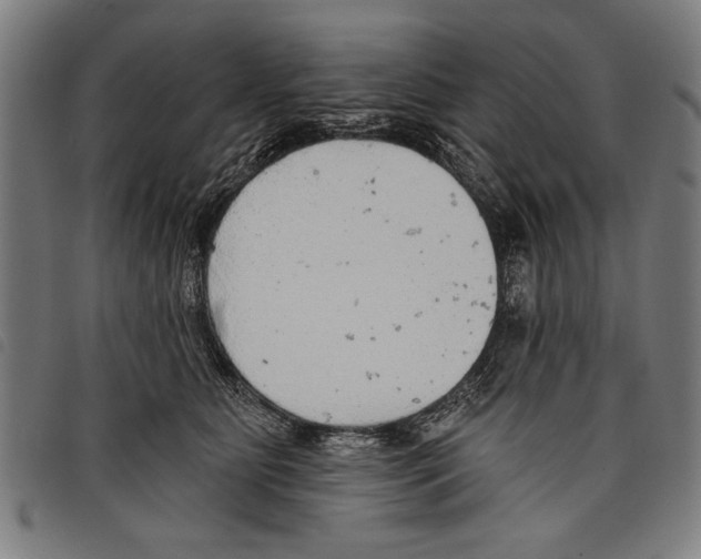 X0000097770515200804041155