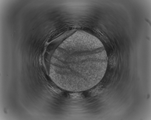 X0000097770516200804041155