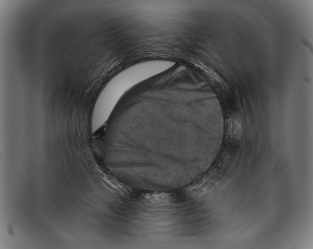 X0000097770517200804041155
