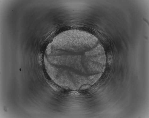 X0000097770519200804041155