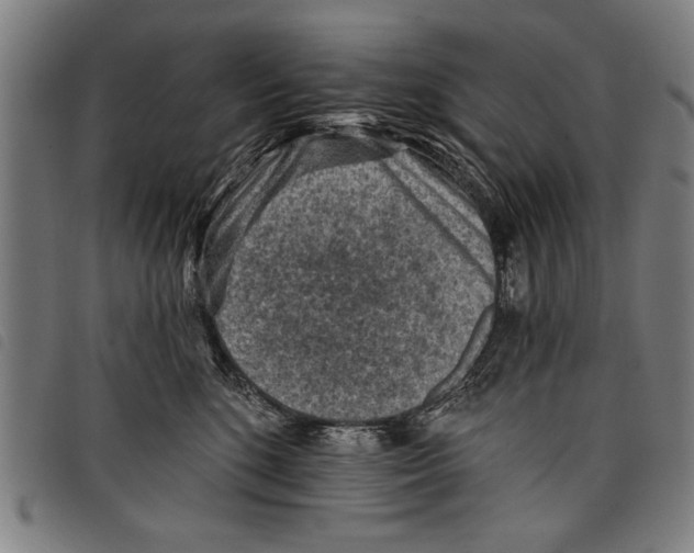 X0000097770520200804041155