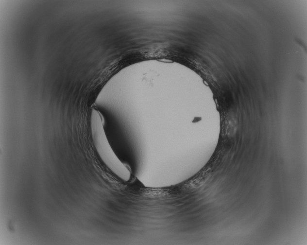 X0000097770521200804041155