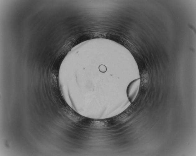 X0000097770522200804041155