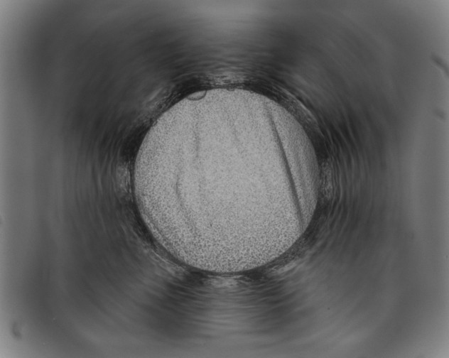 X0000097770523200804041155