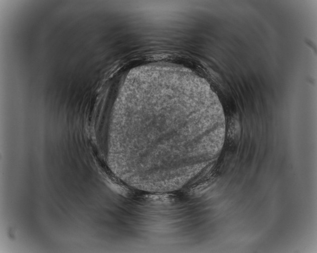 X0000097770524200804041155