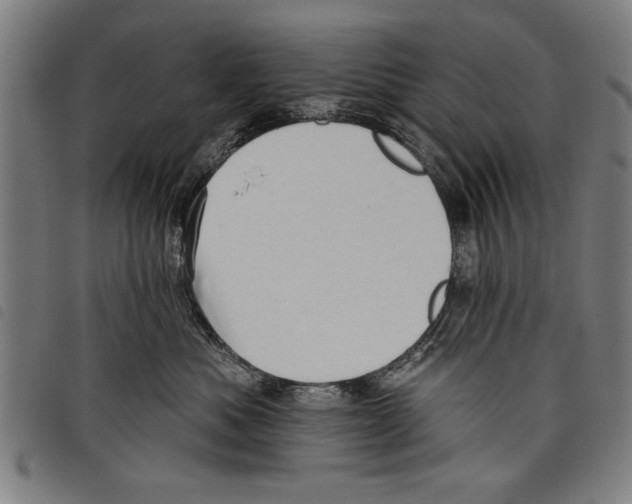 X0000097770525200804041155